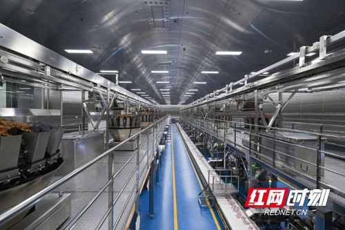 清華大學學子走進勁仔食品，共探“科研興企”新路徑